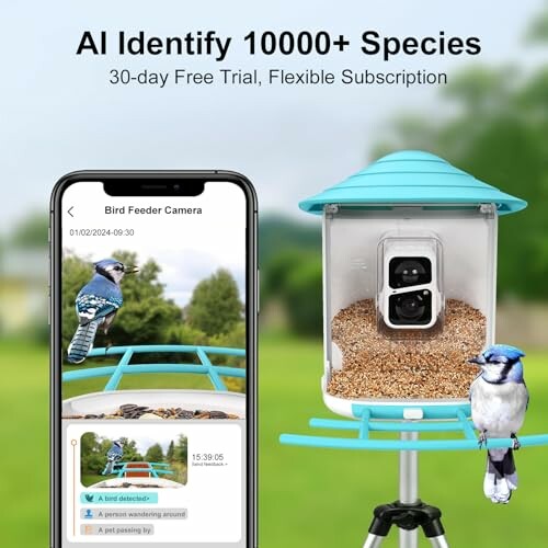 AI bird feeder camera identifying species with phone app interface.