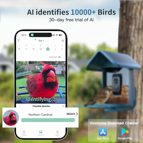 AI app identifying a Northern Cardinal bird.