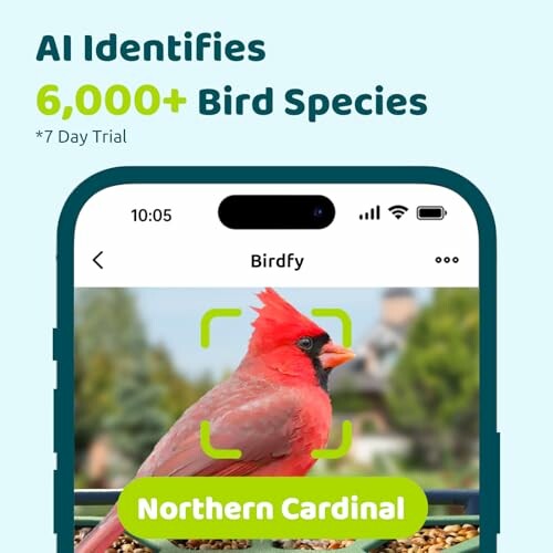 App identifying a Northern Cardinal bird on a smartphone screen.