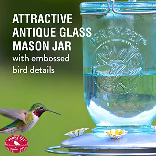 Antique glass mason jar with embossed bird details and a hummingbird nearby.