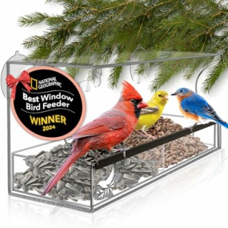 Window Bird Feeder