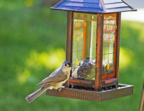 Bird perched on a decorative bird feeder