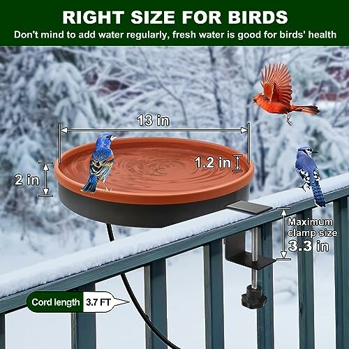 Bird bath with measurements and birds in a snowy setting.