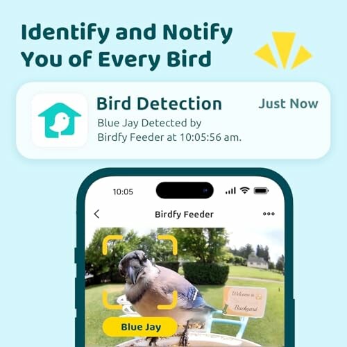 App notification showing bird detection of a Blue Jay.