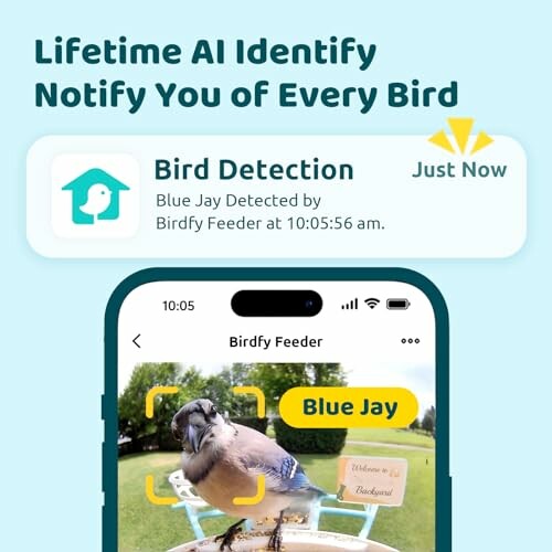 App notification of bird detection with image of a Blue Jay.