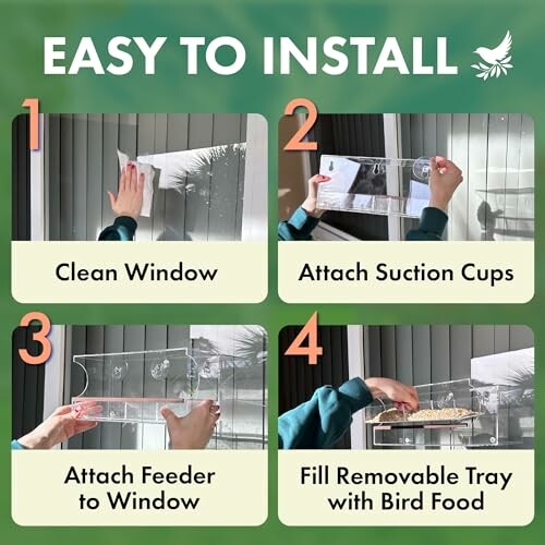 Steps to install a bird feeder: clean window, attach suction cups, attach feeder, fill tray.