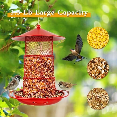 Red bird feeder with seeds and birds on a leafy background.