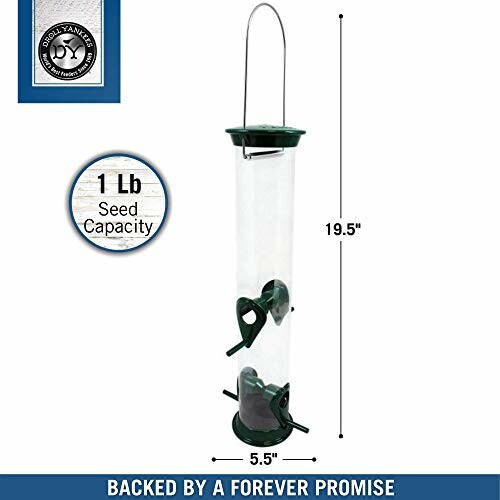 Clear tube bird feeder with green accents, 19.5 inches tall and 1 lb seed capacity.