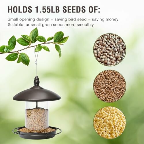 Bird feeder with seeds for small grain birds.