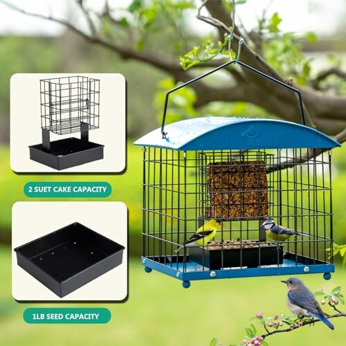 Bird feeder with small birds and suet cake capacity.