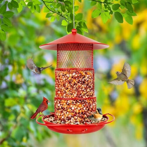 Red bird feeder with various birds feeding