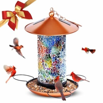 Ottsuls Solar Bird Feeder