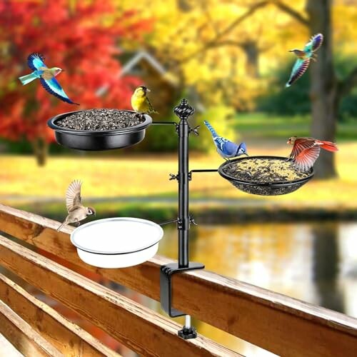 Bird feeder with various colorful birds on a railing in autumn