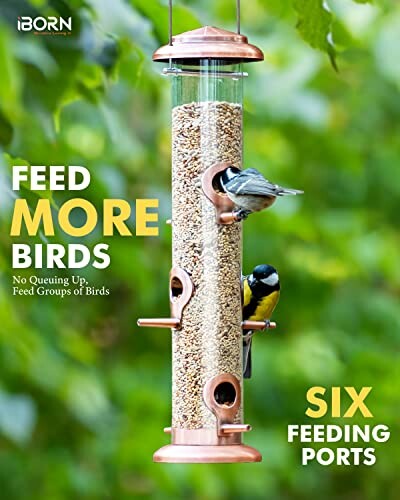 Two birds feeding from a vertical bird feeder with six ports.