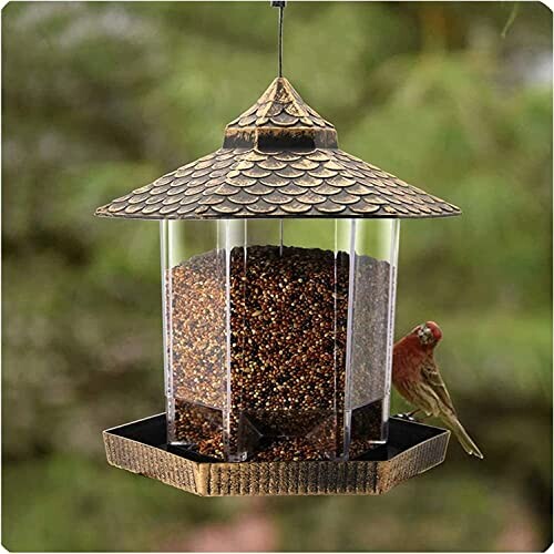 Hexagonal bird feeder with a red bird perched on it.