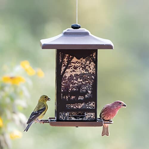 Perky-Pet 8504-1SR Bird Feeder