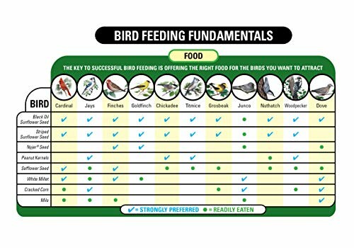 Bird feeding fundamentals chart showing preferred foods for different bird species.