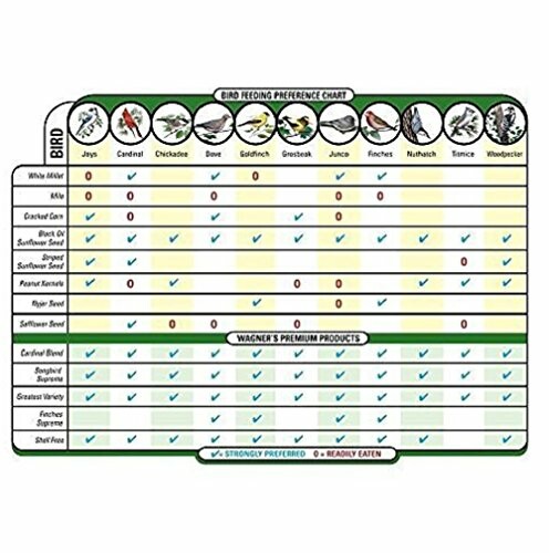 Bird feeding preference chart with types of birds and seeds.