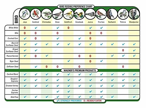 Bird feeding preference chart showing various birds and their food preferences.