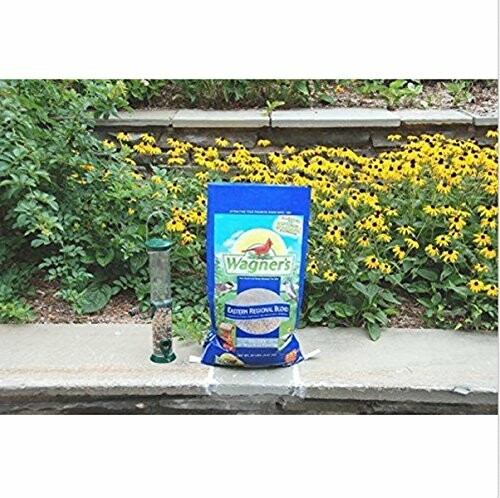 Bird seed bag and feeder in garden with yellow flowers