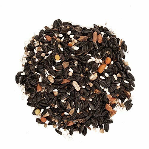 A pile of mixed bird seeds on a white background.