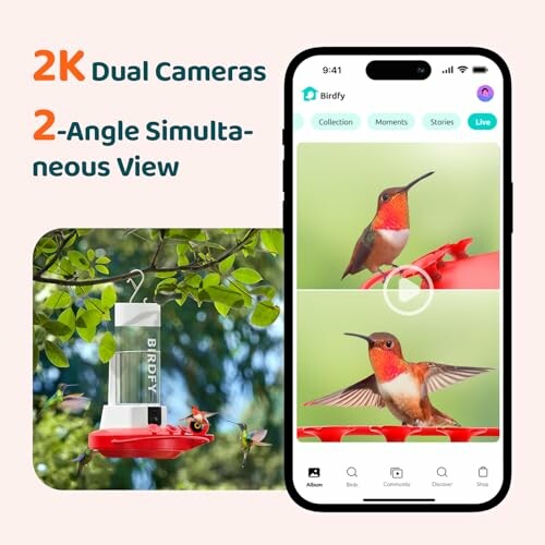 Bird watching app displaying live hummingbird feed.