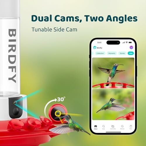 Bird feeder with dual cameras and smartphone app display