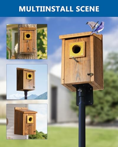 2pk Bluebird Bird Houses