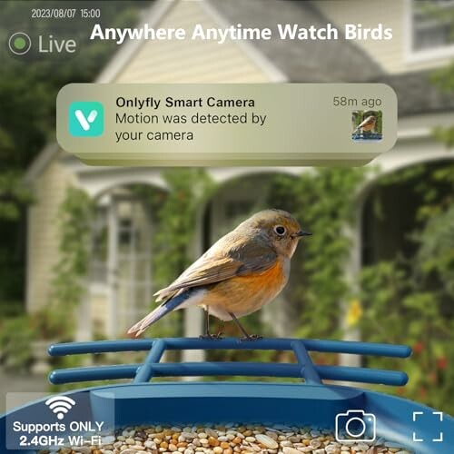 Bird on feeder with smart camera notification.