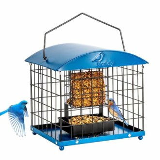 Blue bird feeder cage with two birds and seed block.