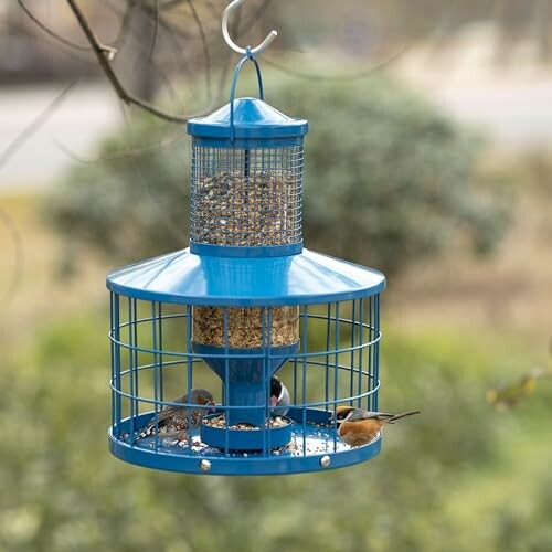 Blue bird feeder with birds and seeds