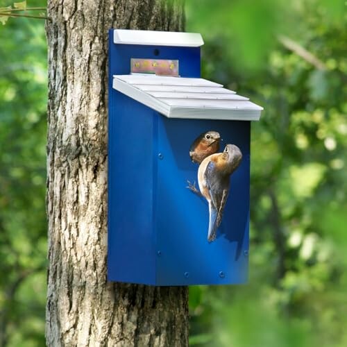 Cedar Bluebird House