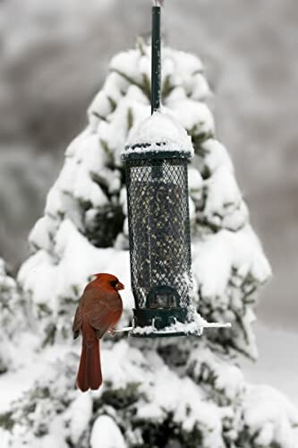 Cardinal on a snowy bird feeder