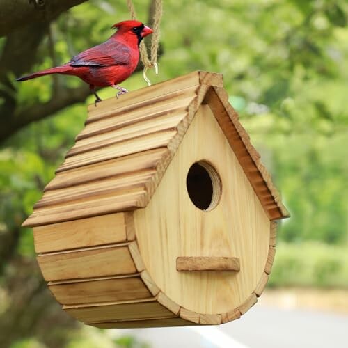 STARSWR Bird House