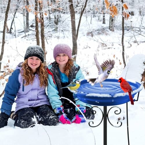 Daoeny Heated Bird Bath