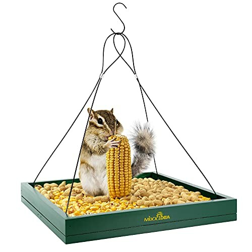 Chipmunk eating corn on a hanging feeder tray with peanuts.