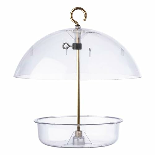 Clear dome bird feeder with hook and tray