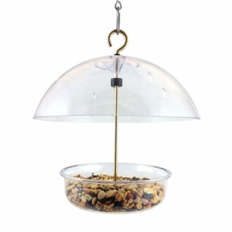 Clear bird feeder with seeds and protective dome