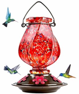 BOLITE Hummingbird Feeder