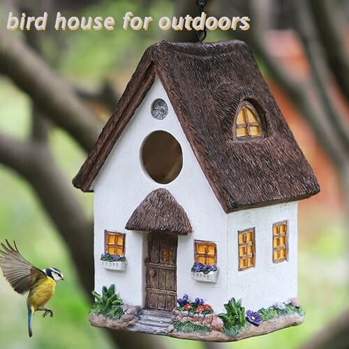 Bird House for Outside