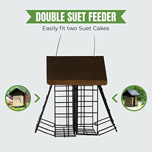 Double suet feeder with capacity for two suet cakes.