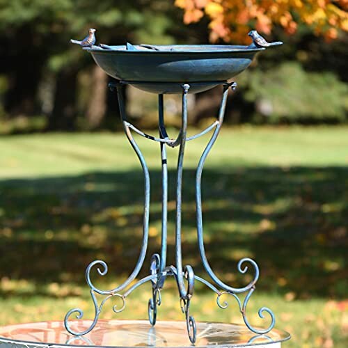 Zaer Ltd. Deep Well Made Metal Birdbath