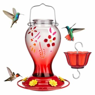 Kingsyard Glass Hummingbird Feeder