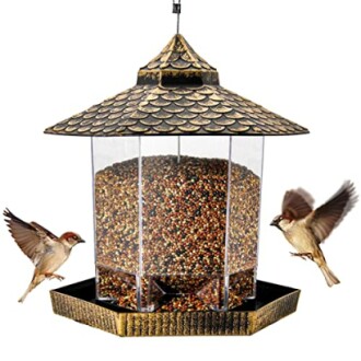 Twinkle Star Wild Bird Feeder