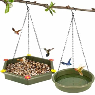 Hanging Bird Bath & Feeder