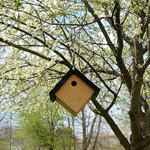 Wooden birdhouse hanging from a tree branch with blooming white flowers.