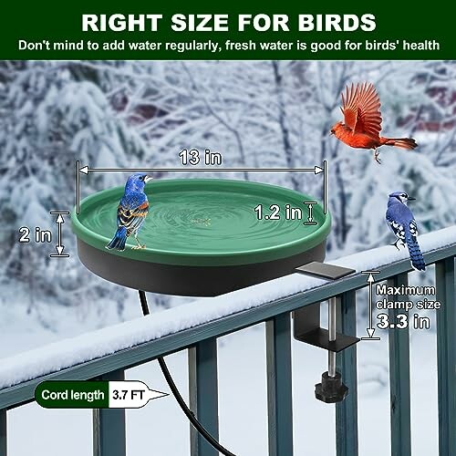 Heated Bird Bath