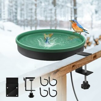 Heated bird bath on snowy railing with bluebird and accessories.