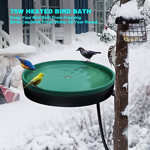 Heated bird bath with birds in snowy setting.