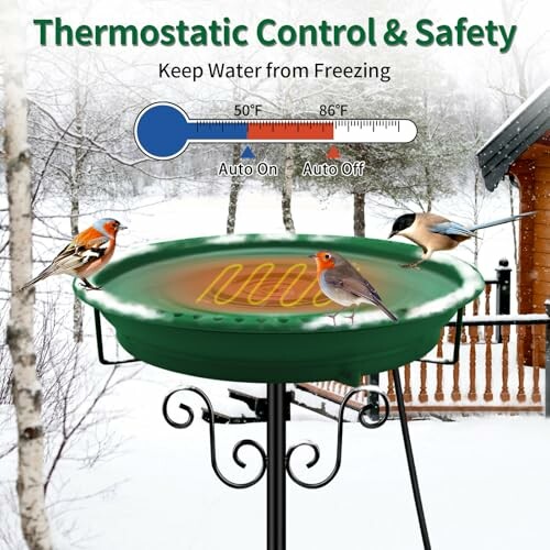 Heated bird bath with thermostat control and birds in winter setting.